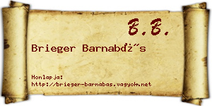 Brieger Barnabás névjegykártya